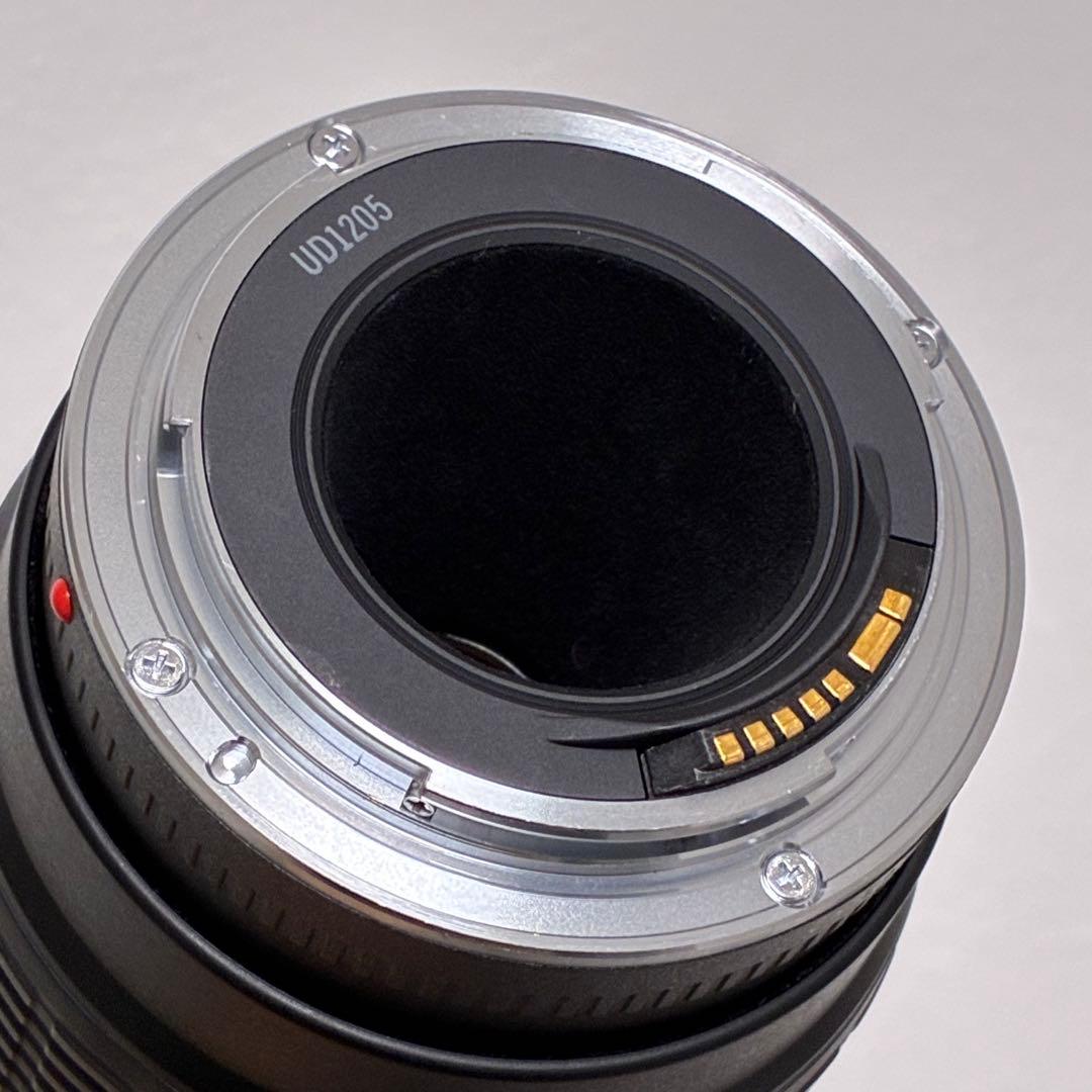 ⭐️美品⭐️キャノン Canon EF 100-300mm f/5.6 超望遠レンズ