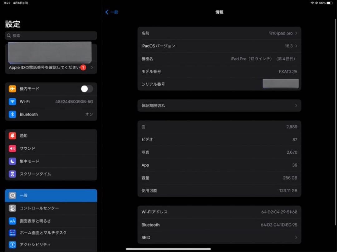 iPad Pro (第4世代) 12.9インチ 256GB