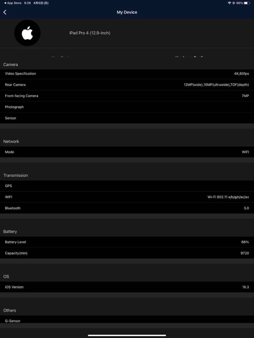 iPad Pro (第4世代) 12.9インチ 256GB