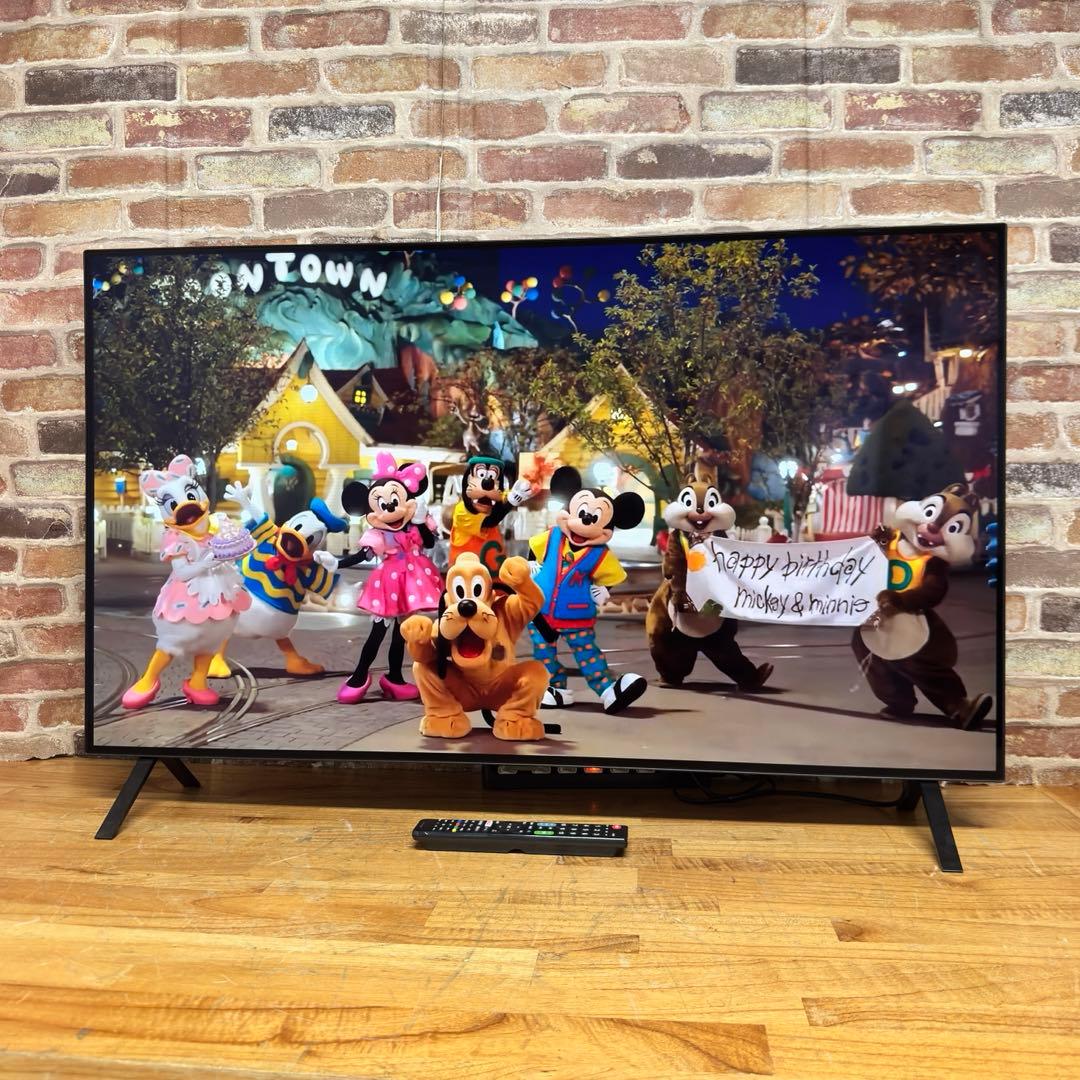 LG 48インチ 4K 有機ELテレビ OLED48A2PJA 動画アプリ搭載