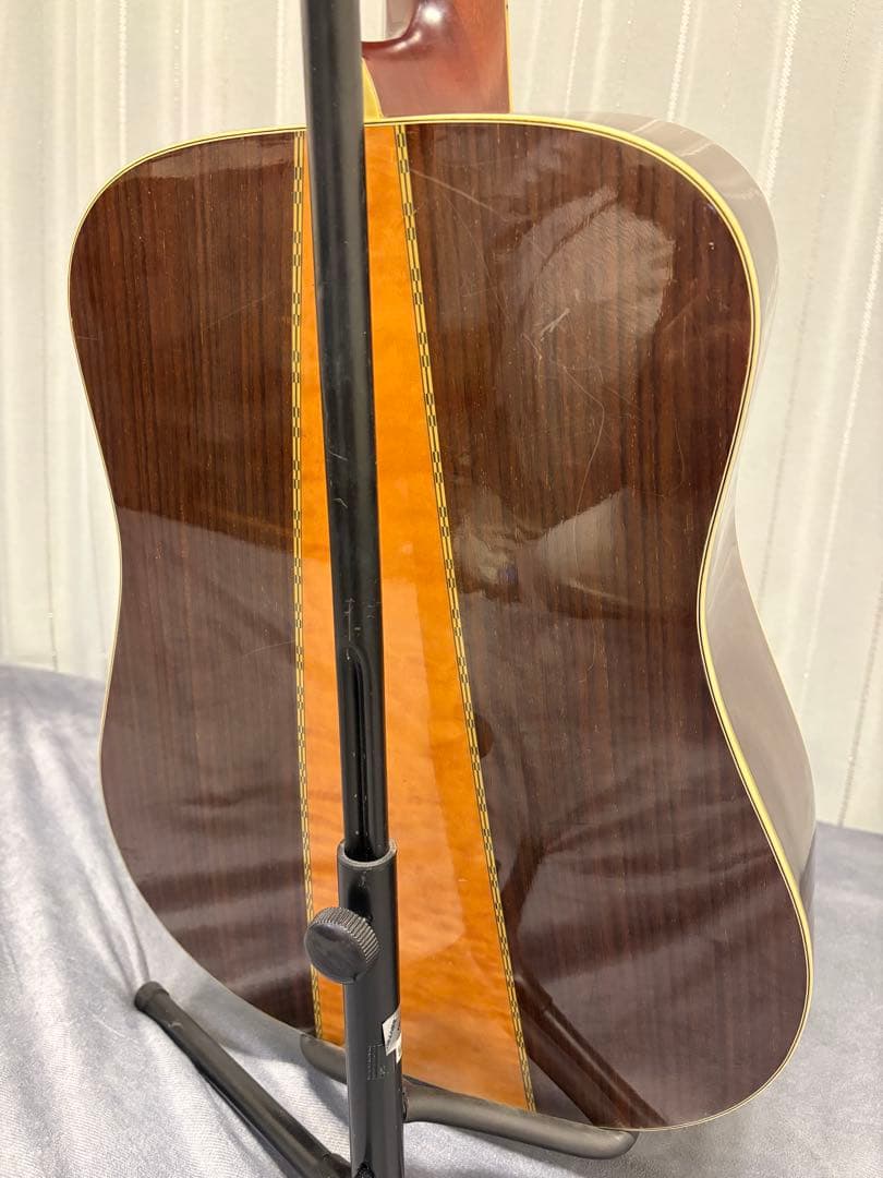 Morris W-50 アコースティックギター SPECIALジャパンヴィン