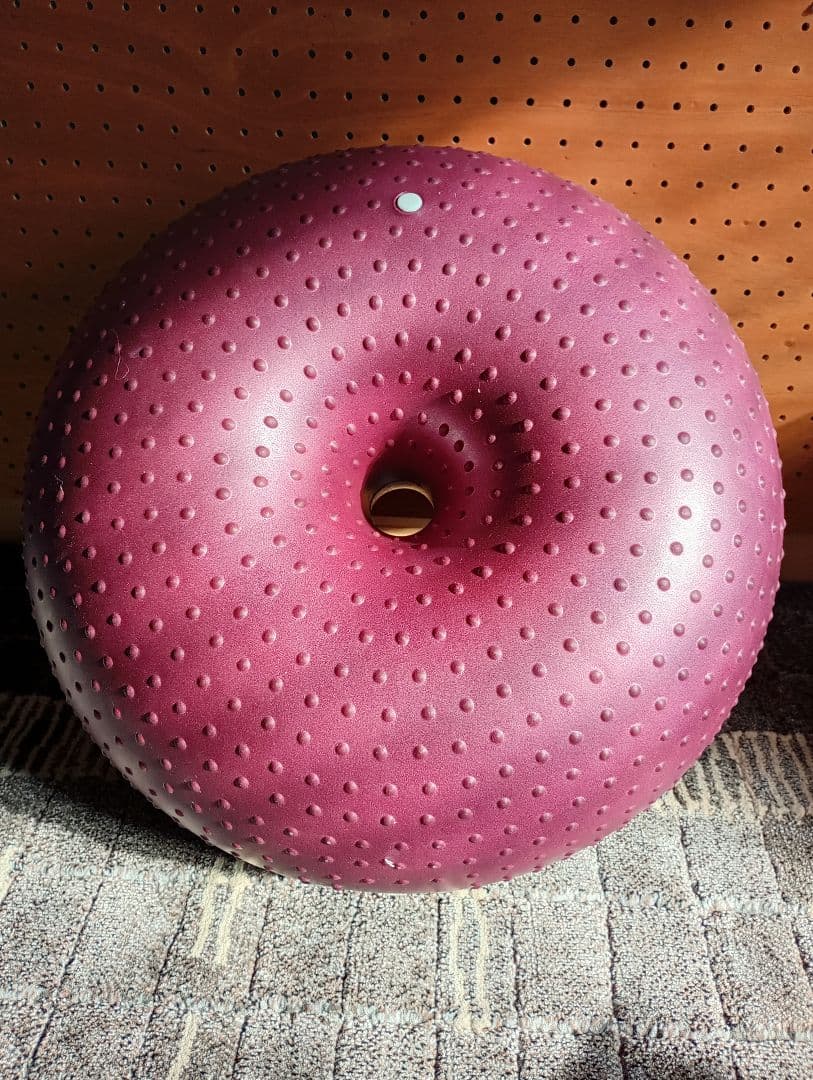 アプリア ドーナツボール ワンちゃん用バランスボール 2個セット 最終値下！