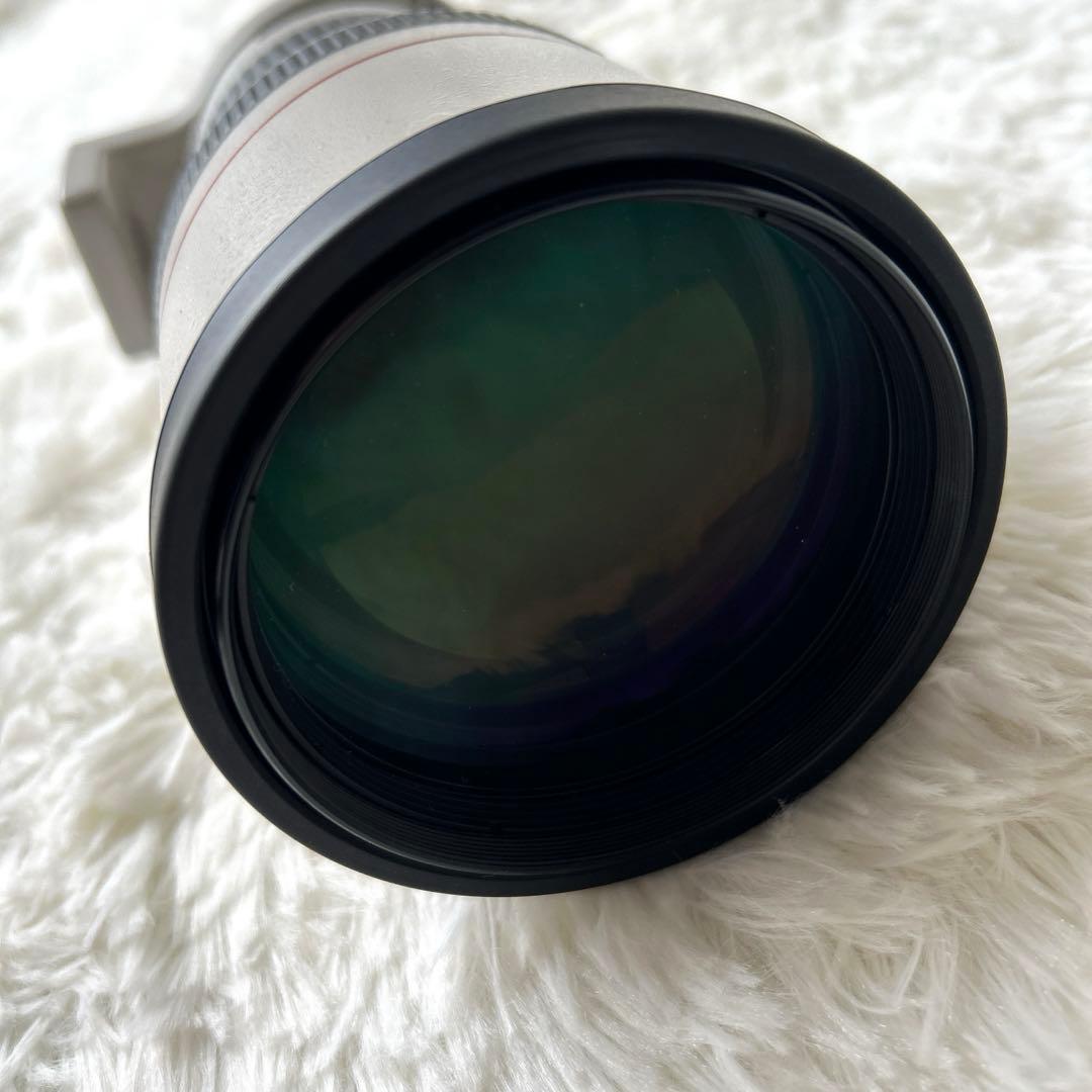 【動作未確認】Canon ウルトラソニックEF 300mm 1:4L