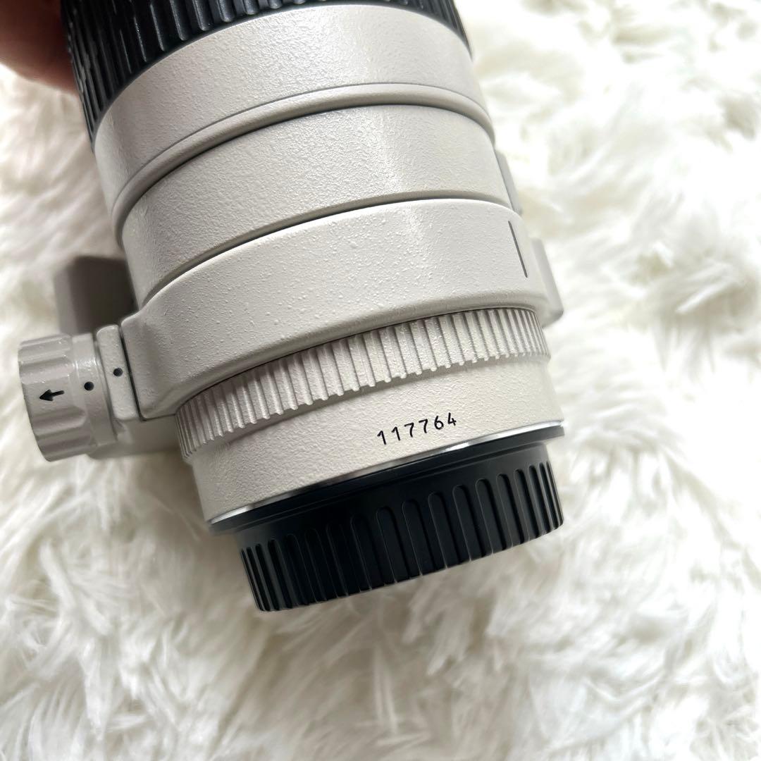【動作未確認】Canon ウルトラソニックEF 300mm 1:4L