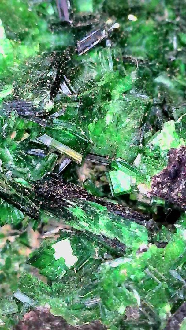 燐銅ウラン鉱　torbernite コンゴ産　放射性鉱物