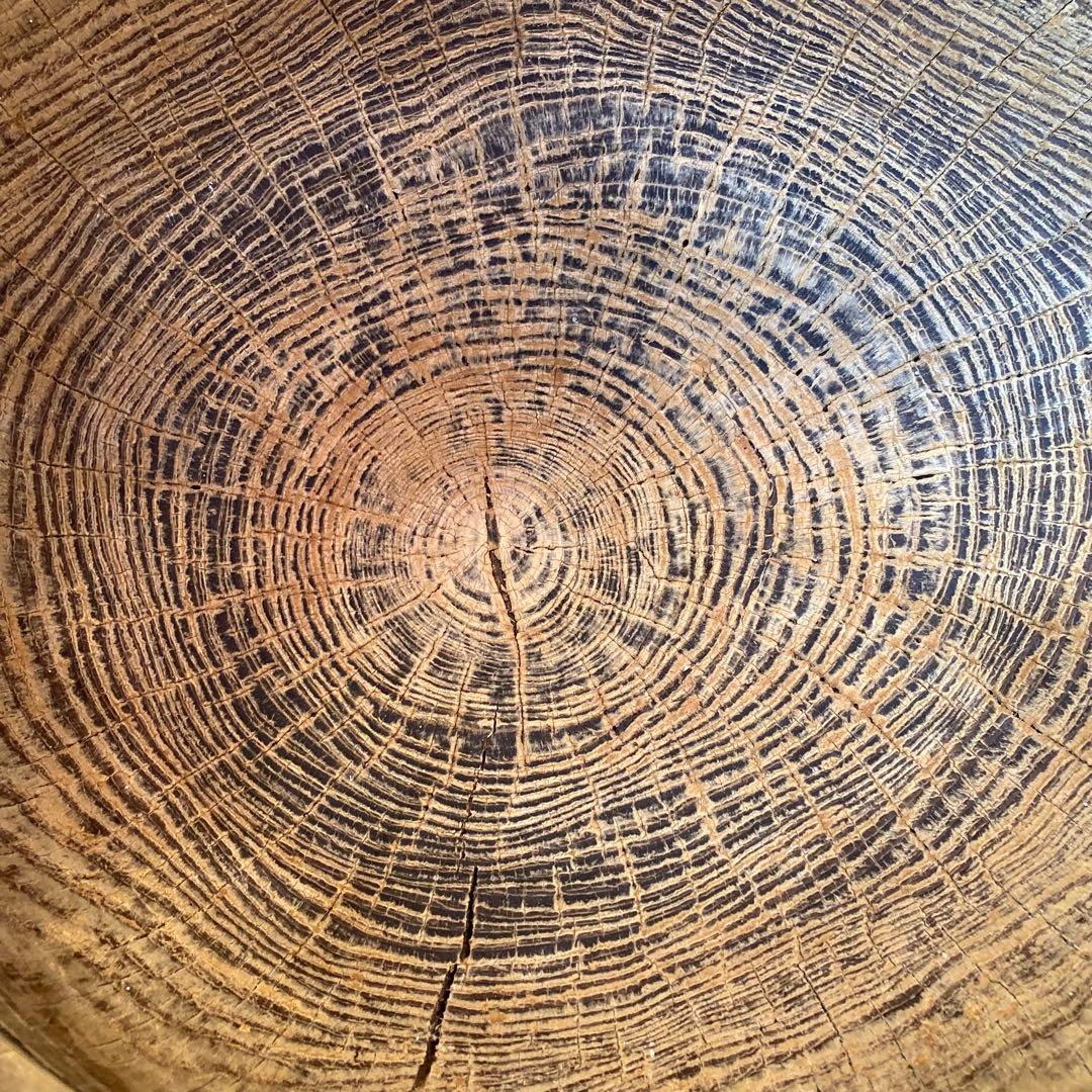 欅　ケヤキ　臼　杵セット　送料無料　直径55cm 高さ48cm 餅つき　正月