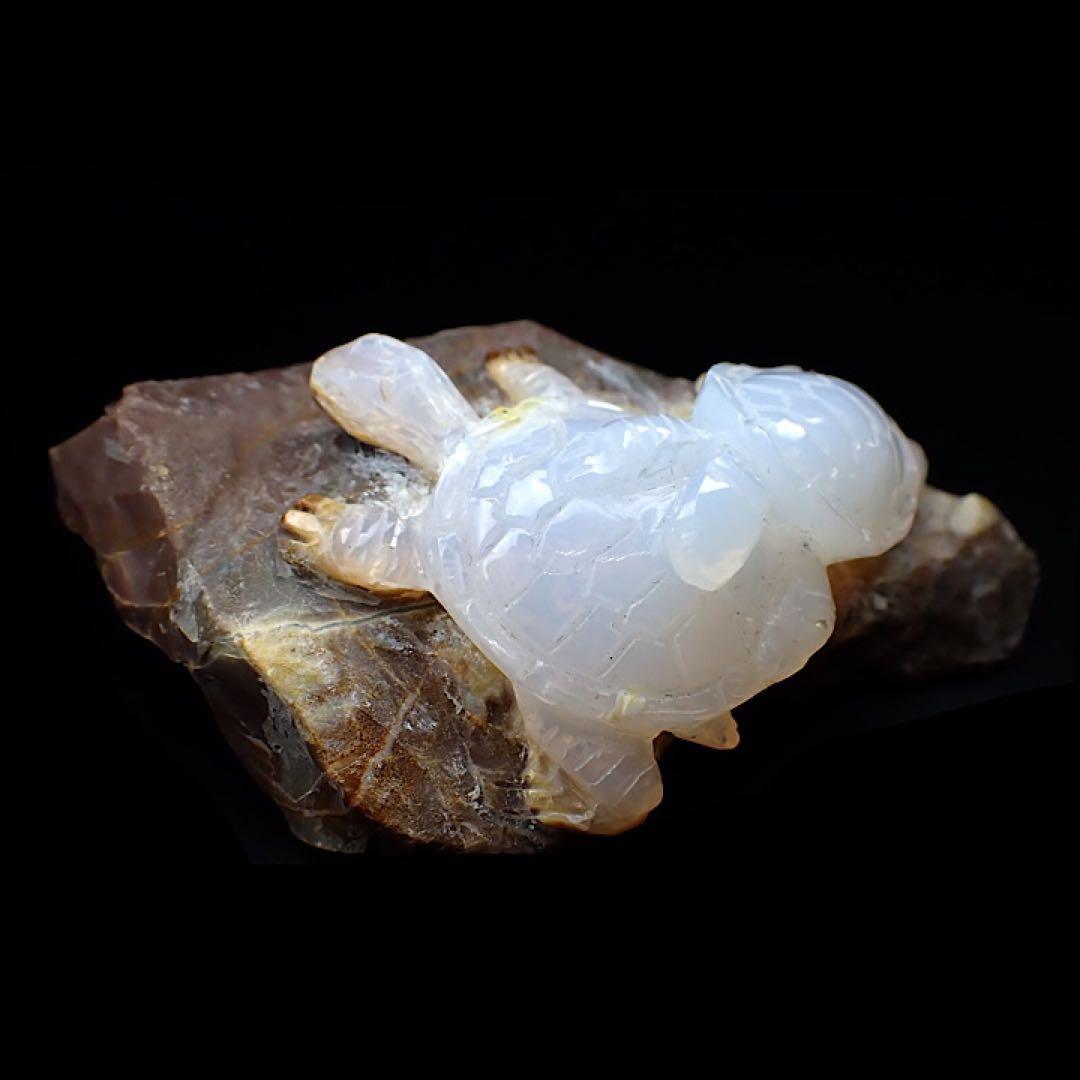 【オーストラリア産】オパールカービング(親子亀モチーフ)