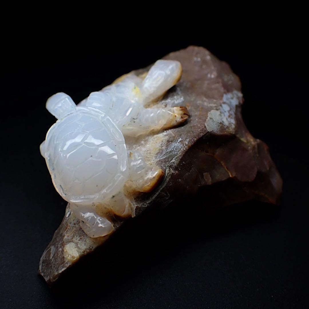 【オーストラリア産】オパールカービング(親子亀モチーフ)