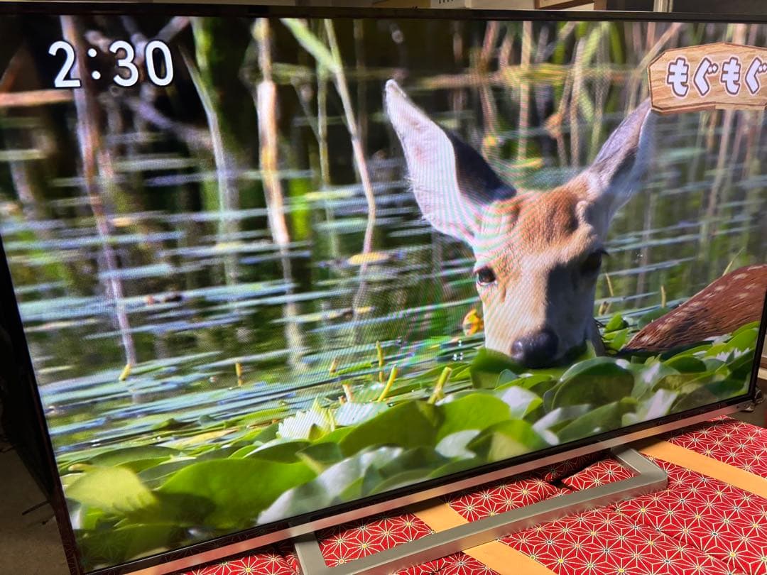 TOSHIBA LED REGZA 50G9 50型