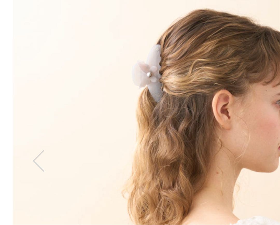 ALEXANDRE DE PARIS M クリップ グレー