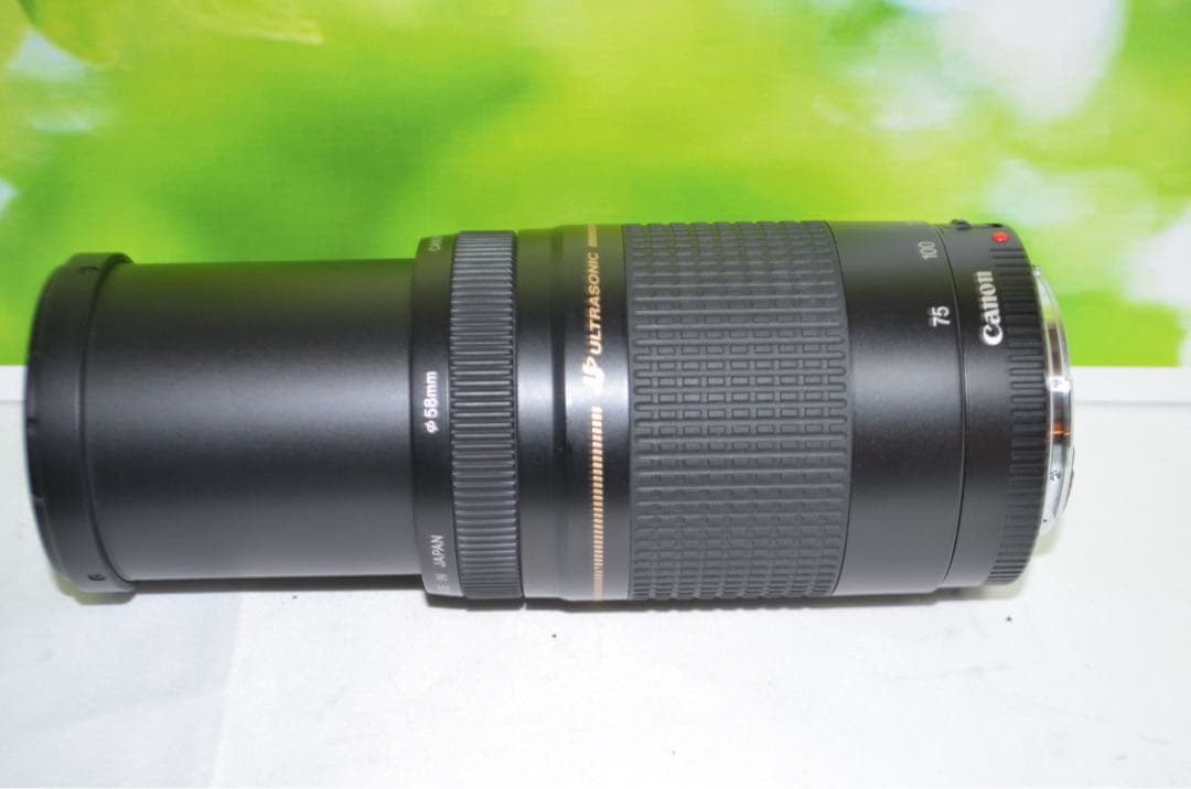★美品級★300mm超望遠レンズ★CANON EF 75-300mm