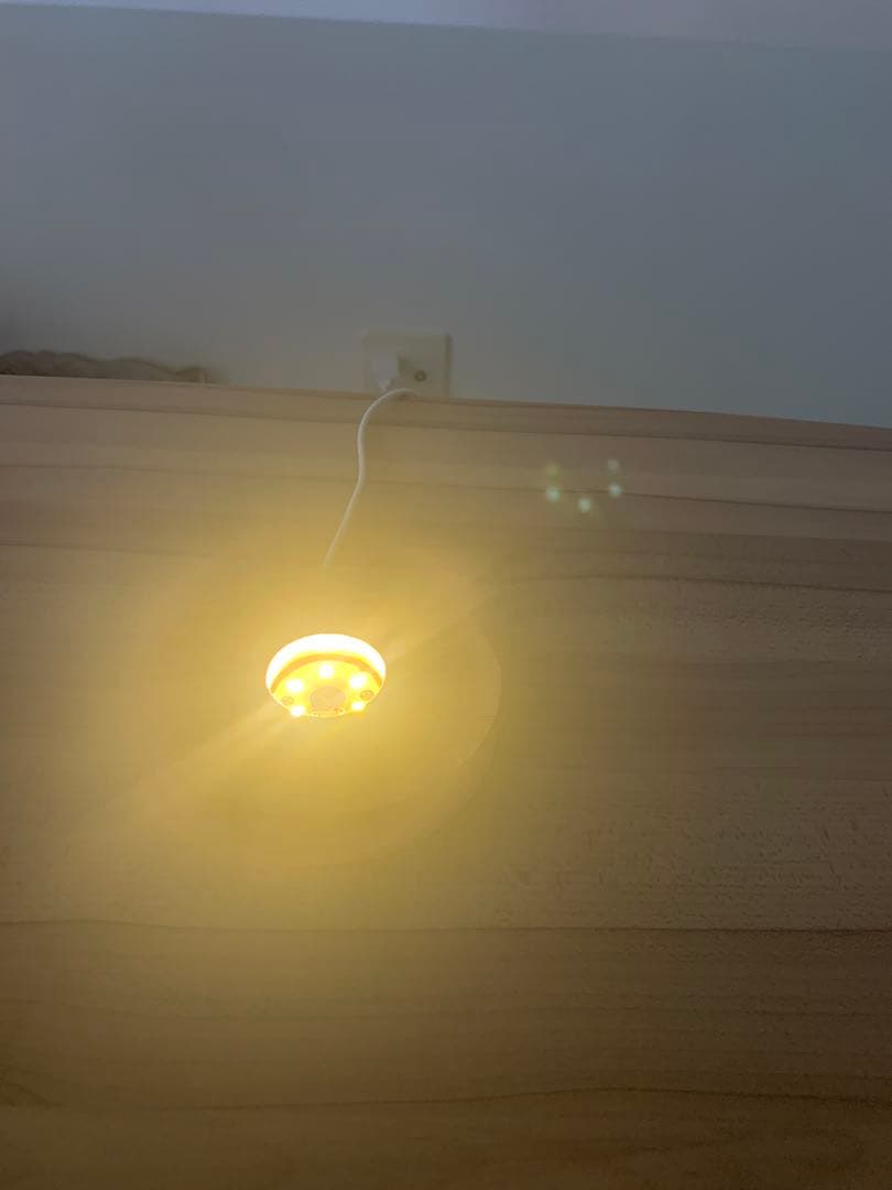 セレナイトタワー　ルームライト