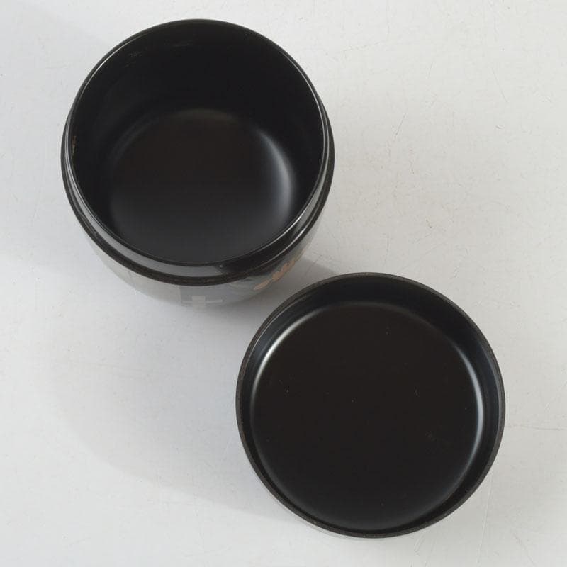 茶道具　輪島塗　花草蒔絵　春風　棗　共箱　V　9460