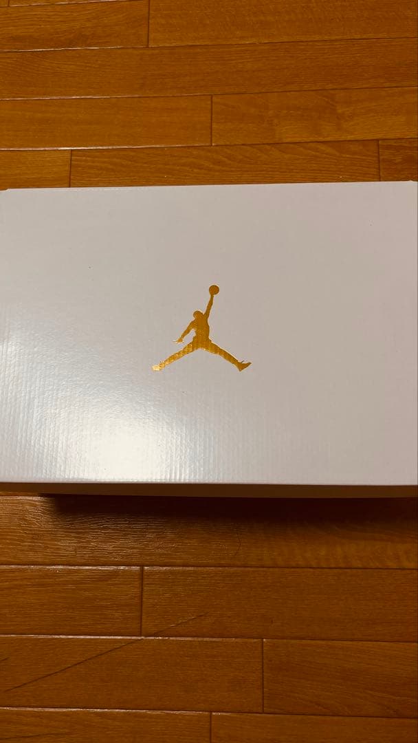 NIKE AIR JORDAN 1 LOW (W) シルバー　28.5cm