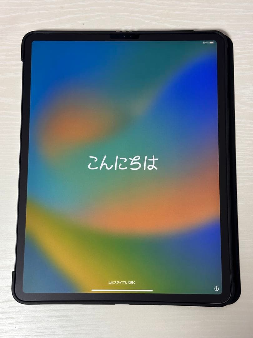 極美品 iPad Pro12.9インチ第4世代128GBスペースグレイ