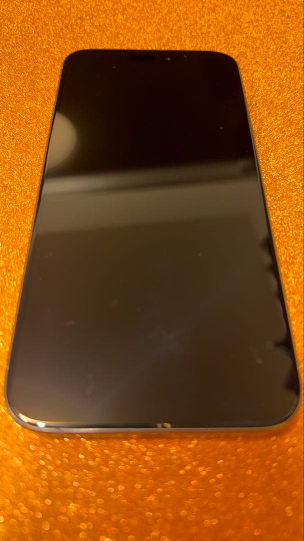 【海外版・無音】iPhone 15 Pro Max 1TB SIMフリー 美品