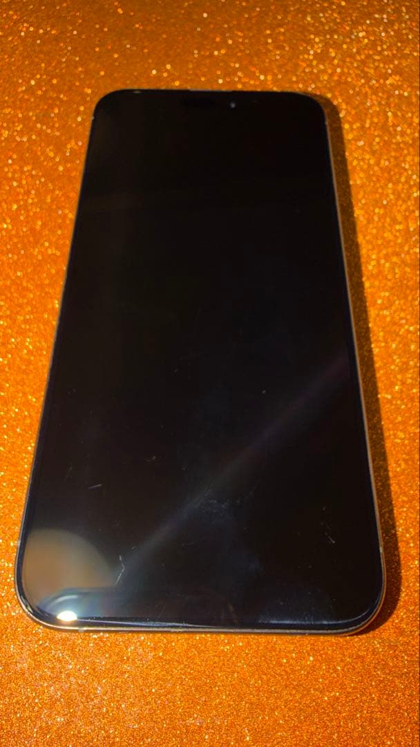 【海外版・無音】iPhone 15 Pro Max 1TB SIMフリー 美品