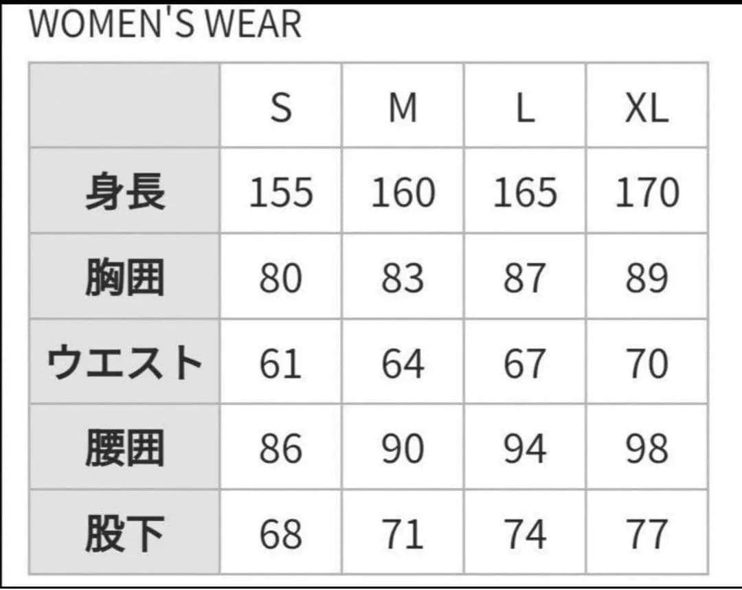 e39 フェニックス Phenix レディース スキーウェア 上下 デモ