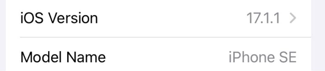 iPhone SE SE2 第2世代　SIMフリー　256GB ホワイト