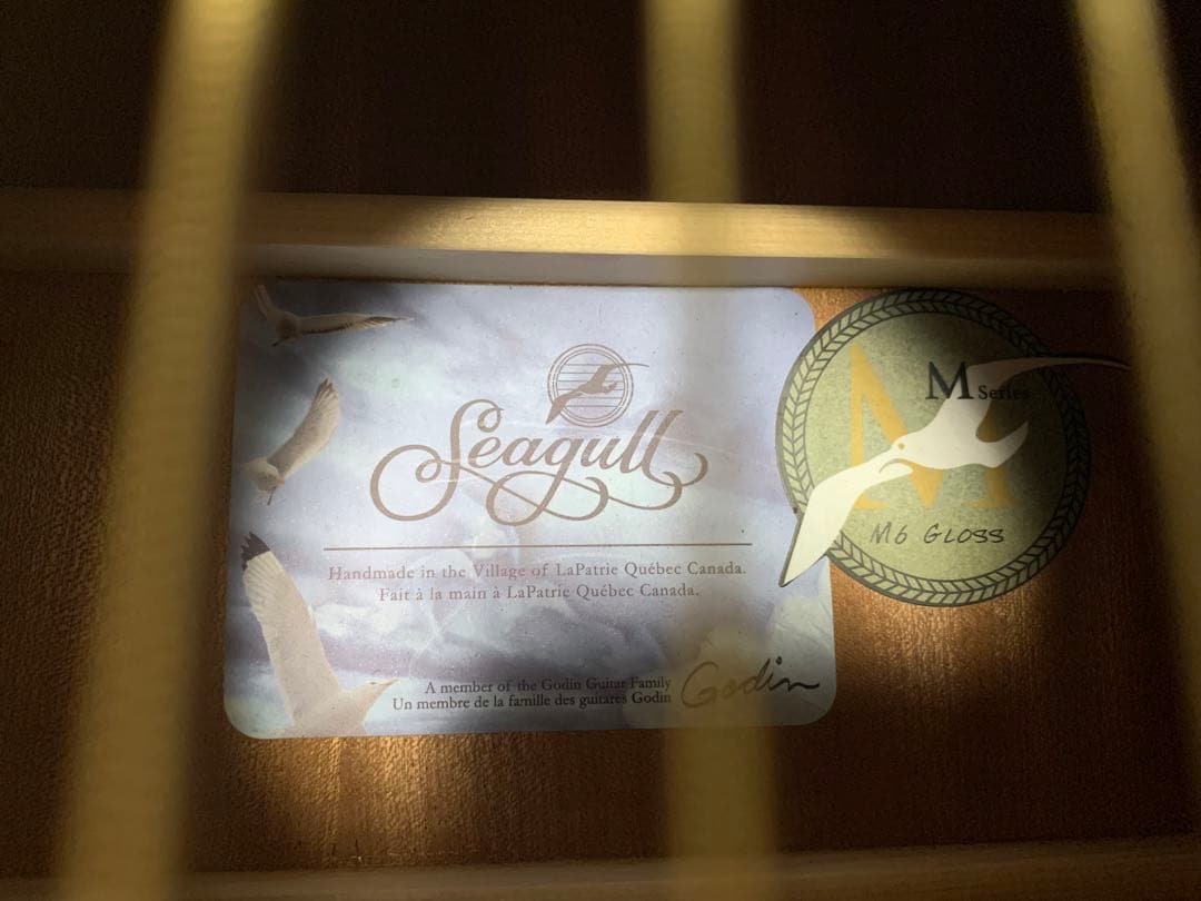 Seagull M6 アコースティックギター