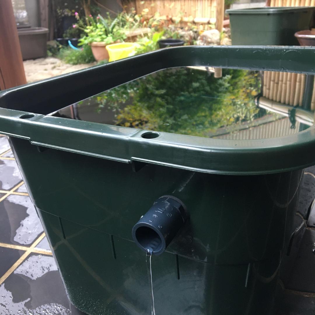 メダカ飼育ケース 36㍑x5個（4色あり） オーバーフロー付 金魚飼育容器 越冬