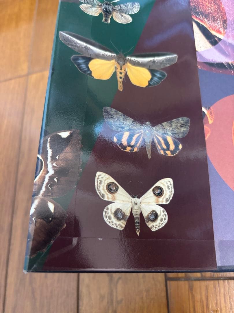 日本の蛾 岸田奈則 Gakken 学研　図鑑