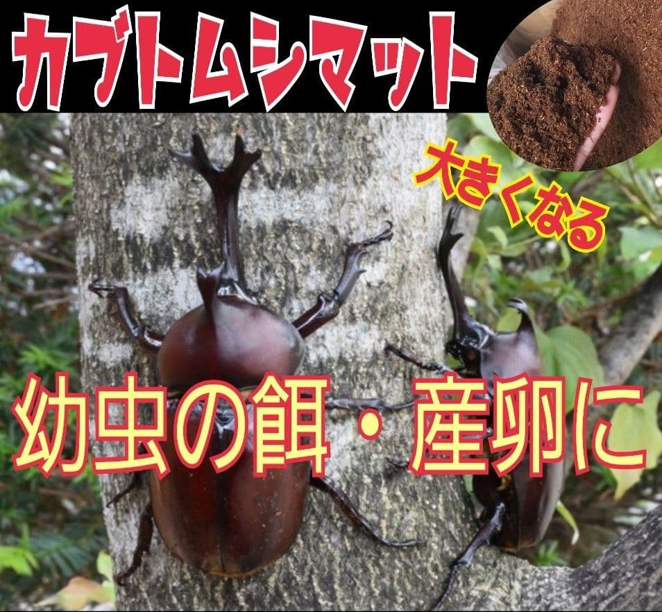 たっぷり100リットル☆カブトムシ幼虫が大きくなる！発酵マット☆雑虫湧きません！