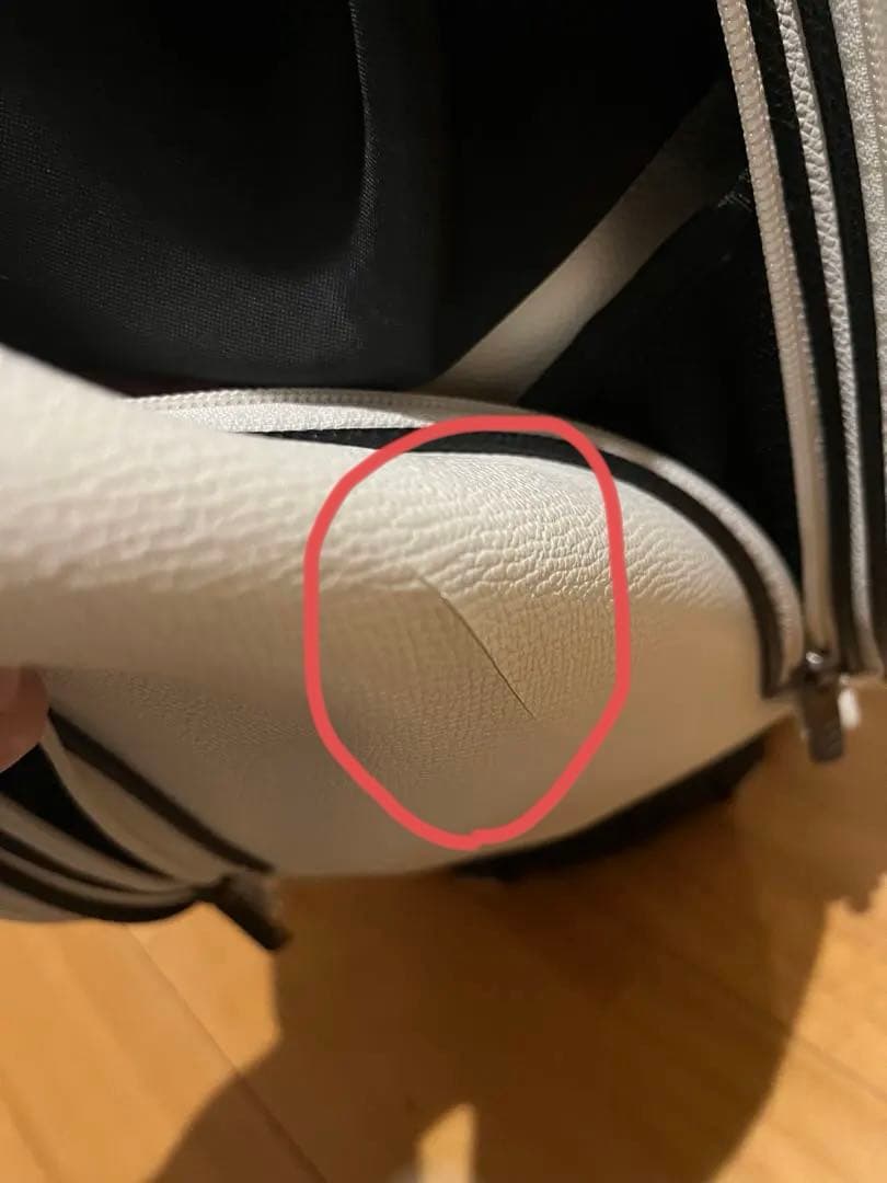 【希少】　レトロ　Mizuno Proキャディバック