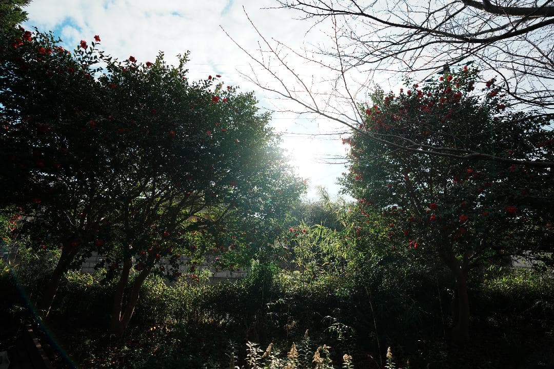 【未使用級美品】 SEL1635GM SONY 超広角F2.8 付属品完備