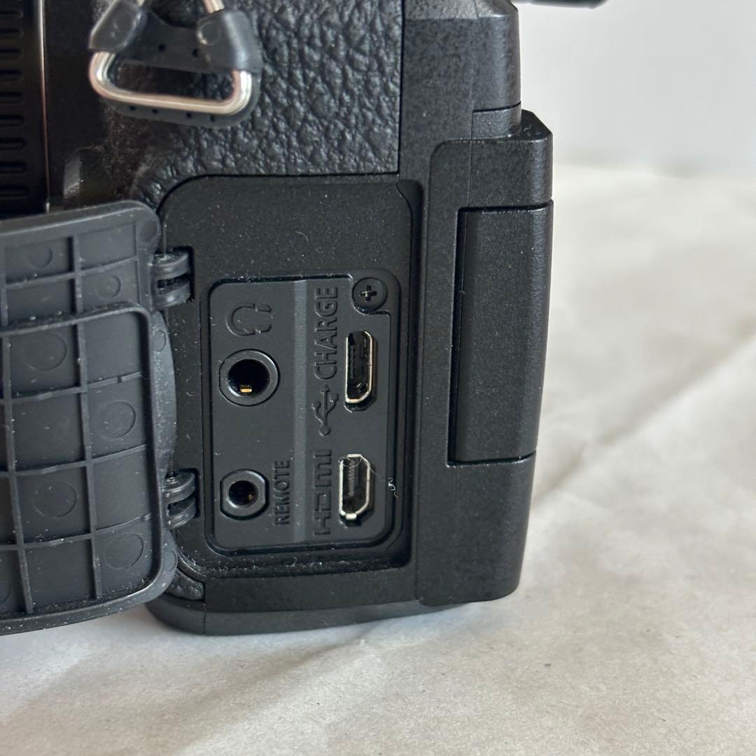 Panasonic LUMIX 一眼カメラ DC-G99