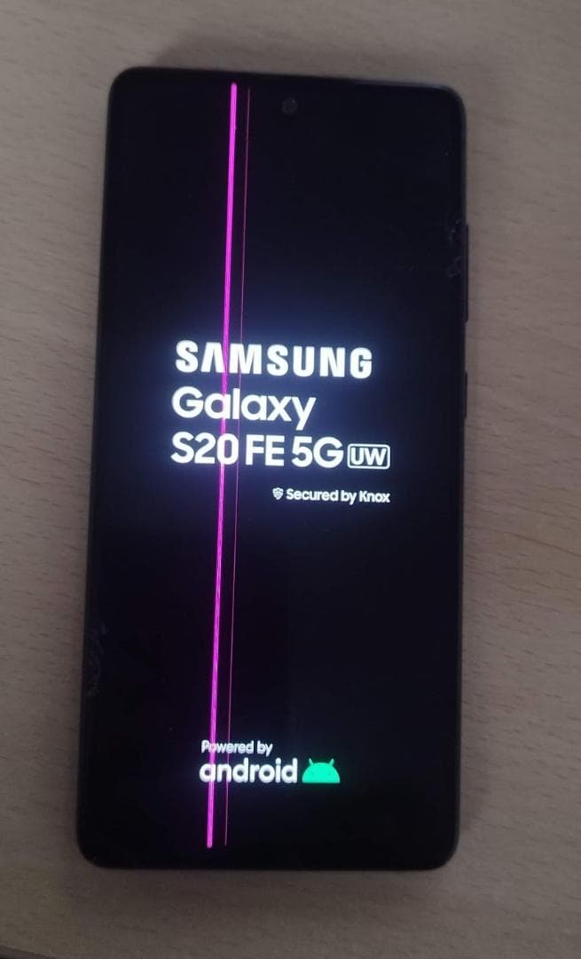 新品で購入　Samsung Galaxy S20 FE 5G　本体のみ