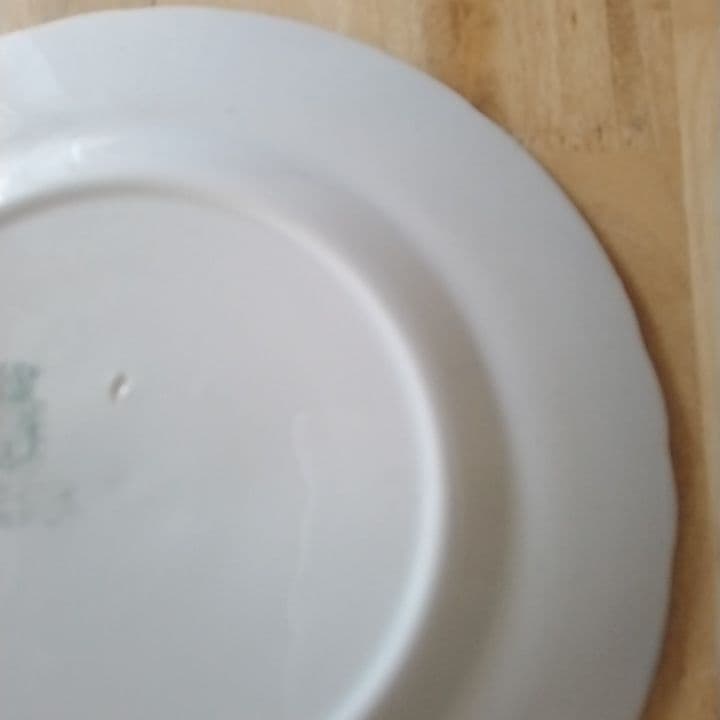 Tomo　ジアン　マリーアントワネット　ディナー皿