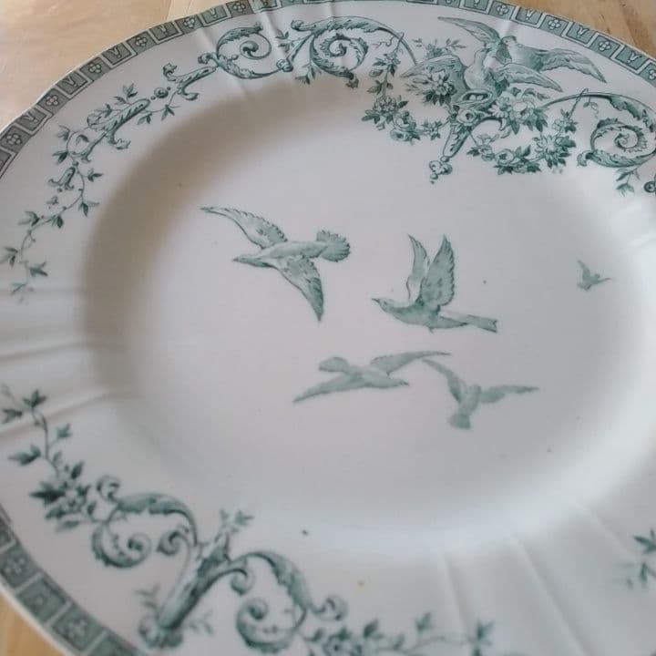 Tomo　ジアン　マリーアントワネット　ディナー皿