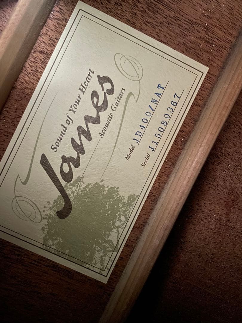 【GilIsans様】James（ジェームス）　JD400 島村楽器