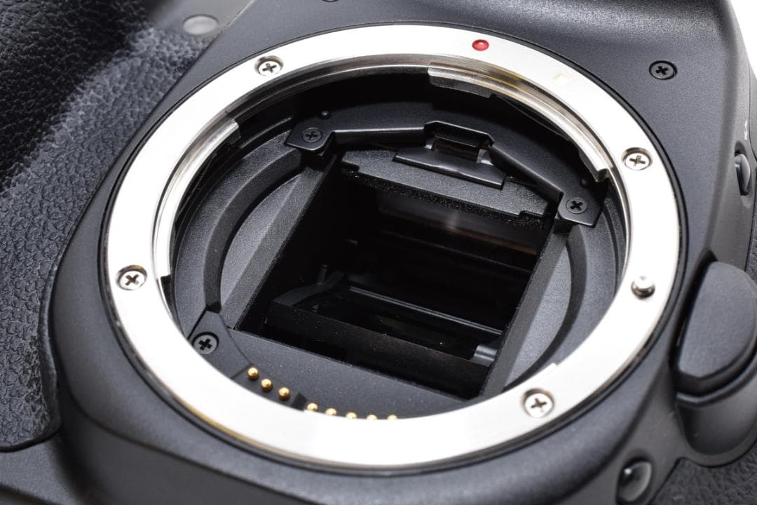 ★超美品★Canon キャノン EOS 40D ボディ #21331