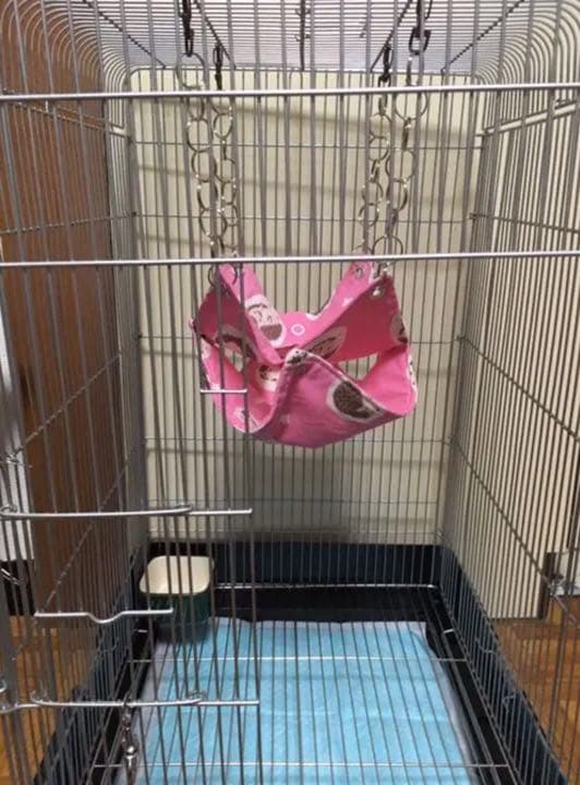 モモンガハウス（ブタ柄）フリースP・ネル生地  春（夏）冬仕様