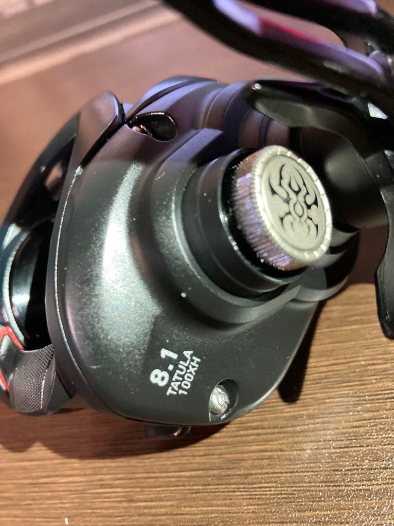 リール 19TATULA TW 100XH