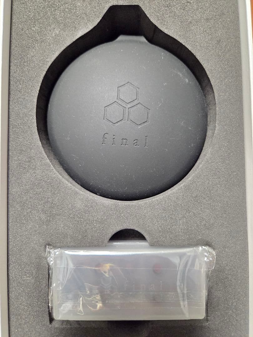 イヤホン Final A5000