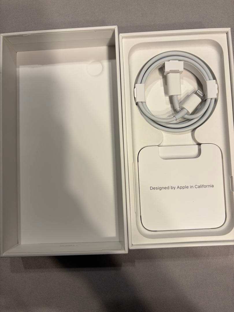 iPhone SEホワイト　本体