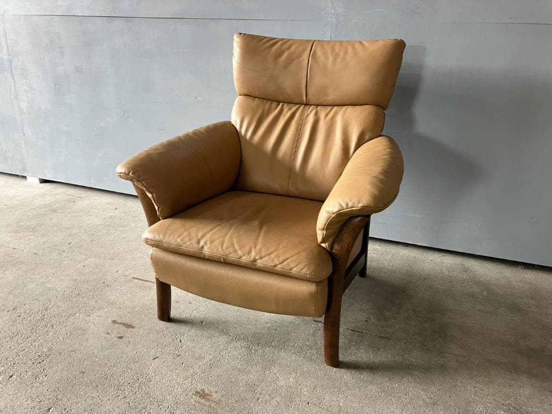 『Direttore』ディレトーレ 肘掛けチェア アームチェア RWso21