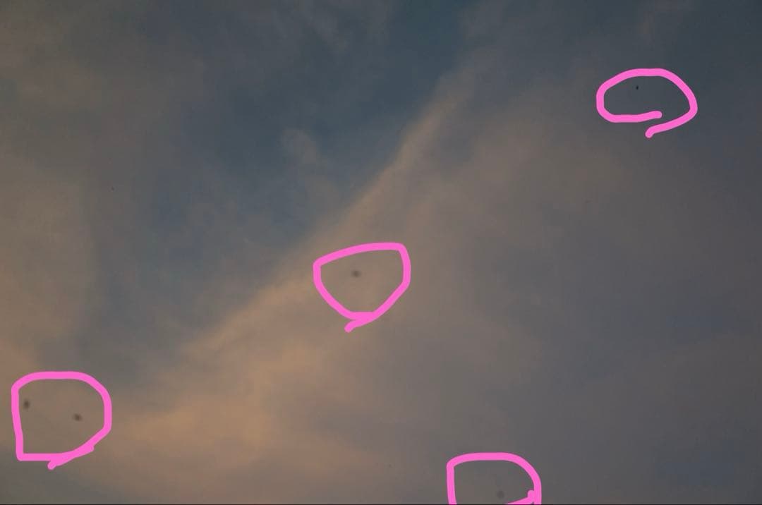 リコー 初代GR APS-C コンパクトデジタルカメラ