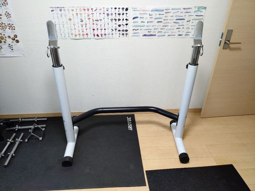 IROTEC アイロテック　ダンベルプレート　シャフト　ベンチ　懸垂スタンド