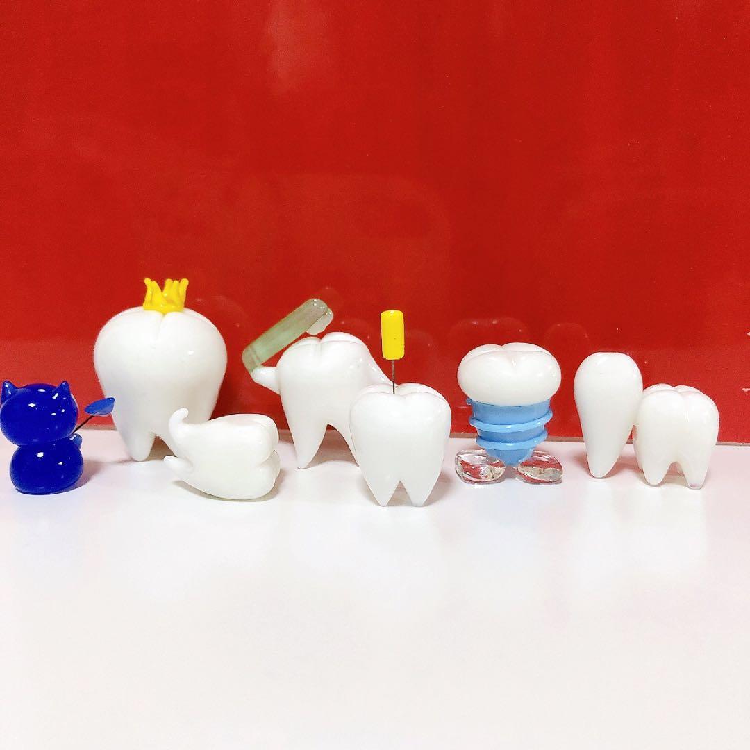 ガラス細工 歯の7点セット