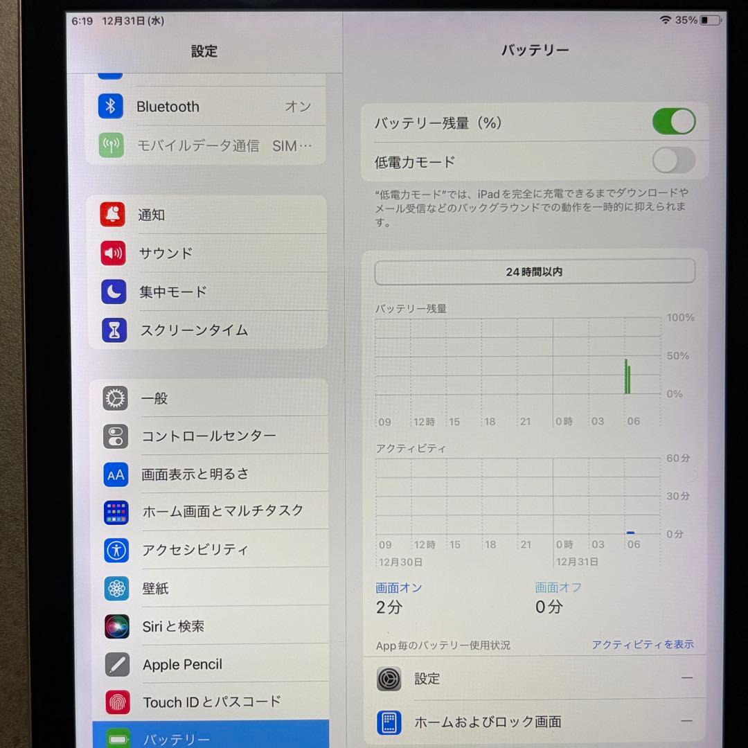 iPad Pro 9.7インチ Cellular 256GB MLQ62J/A