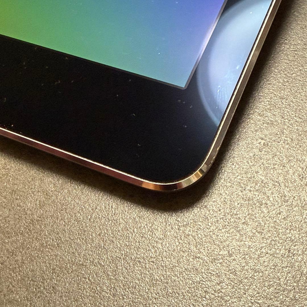 iPad Pro 9.7インチ Cellular 256GB MLQ62J/A