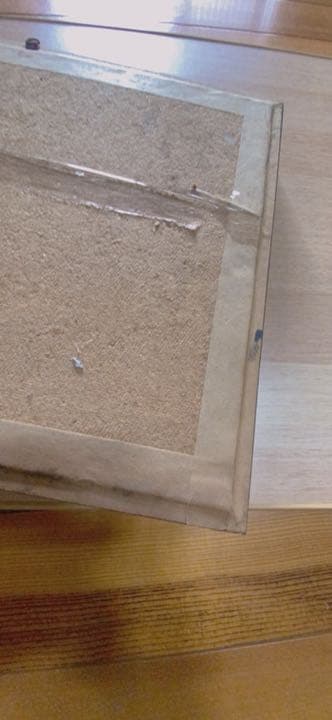 蝶々の剥製(1980年)【絶滅危惧種有り】