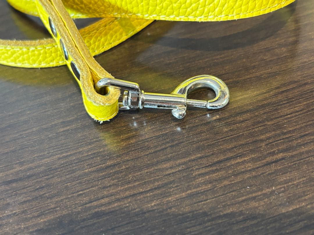 バディベルト2.5号&オールレザーリードセット(canary)