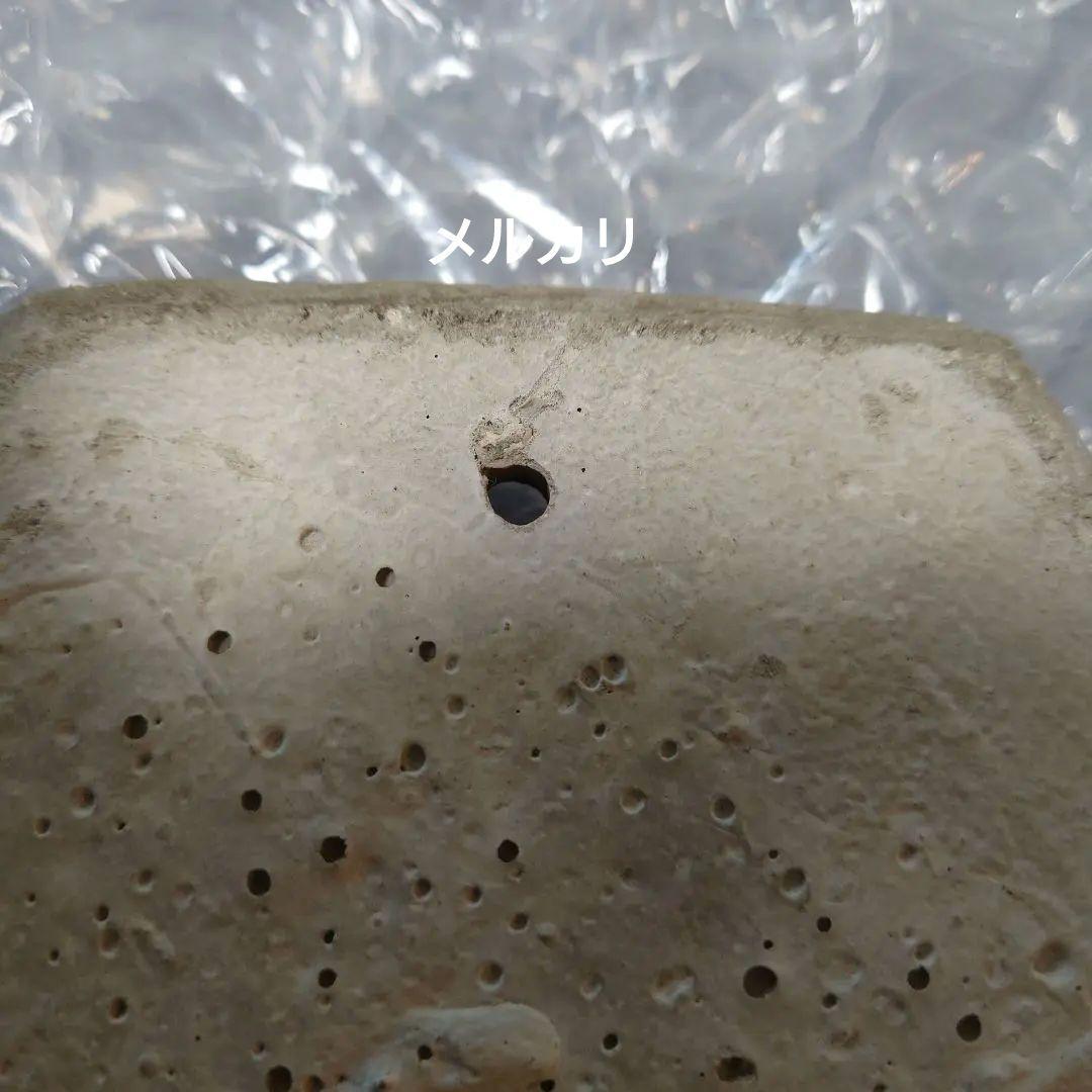 ワンダーデコール イヤープレート（2013）