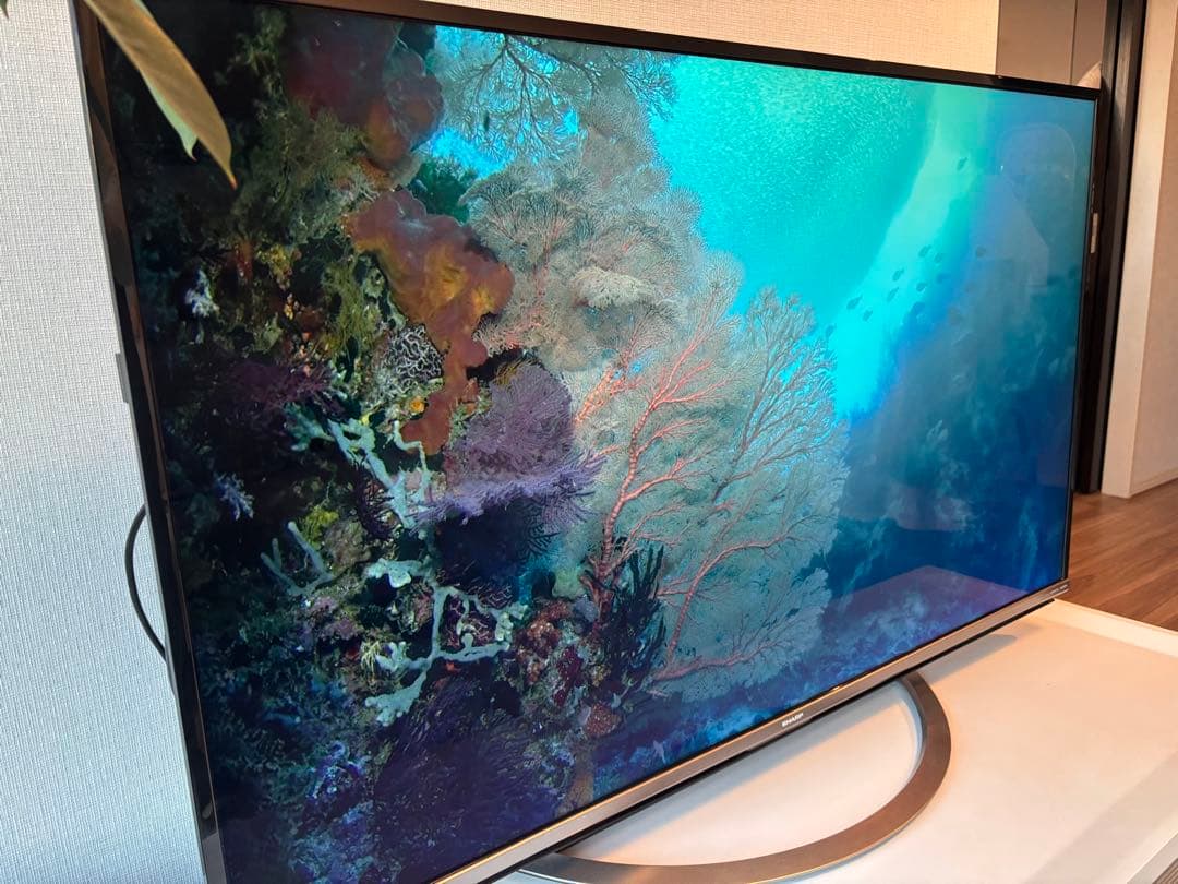 SHARP LC50US45 大画面 液晶テレビ 本体　2018年製　50インチ