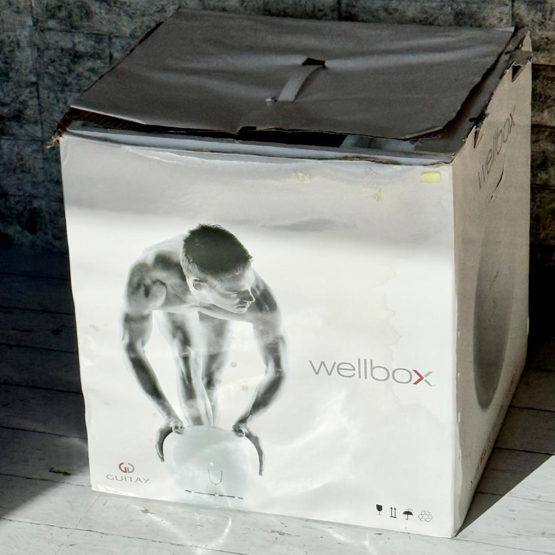 希少新品❗️GUITAY「Wellbox」家庭用エンダモロジー